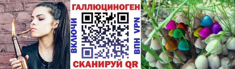 Галлюциногенные грибы Cubensis  Великий Новгород 